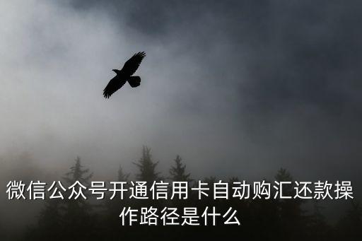 怎么微信購匯還款，建行信用卡怎么還款美元打電話人工服務(wù)老是沒人接