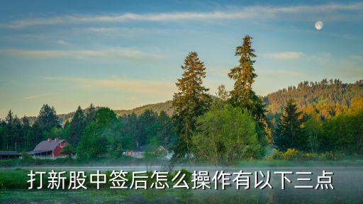 打新股中簽后怎么操作有以下三點(diǎn)