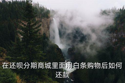 在還唄分期商城里面用白條購物后如何還款