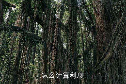 怎么計(jì)算利息