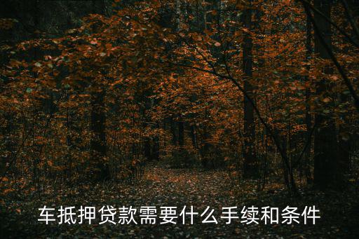 車抵押貸款需要什么手續(xù)和條件