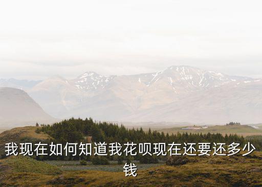 我現(xiàn)在如何知道我花唄現(xiàn)在還要還多少錢