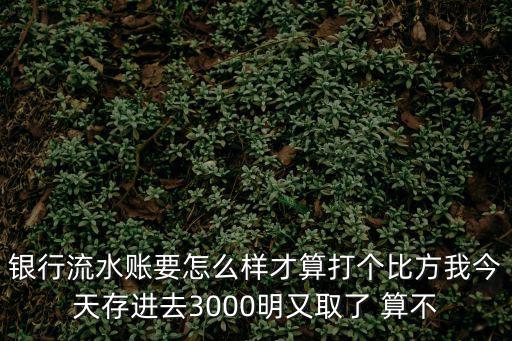 銀行流水賬要怎么樣才算打個(gè)比方我今天存進(jìn)去3000明又取了 算不