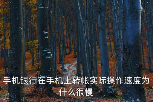 手機(jī)銀行在手機(jī)上轉(zhuǎn)帳實(shí)際操作速度為什么很慢