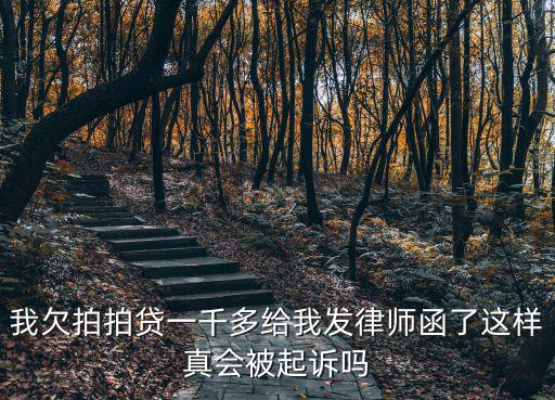 拍拍貸起訴法律怎么，你好我接到拍拍貸法院傳票我應(yīng)該怎么處理
