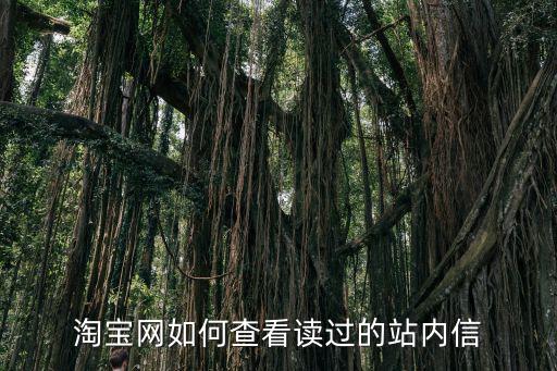 淘寶網(wǎng)如何查看讀過的站內(nèi)信