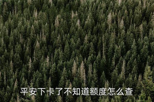 平安下卡了不知道額度怎么查