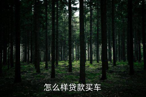 怎么可以融資買車，想在易鑫通過融資租賃方式買車請(qǐng)問該怎么申請(qǐng)