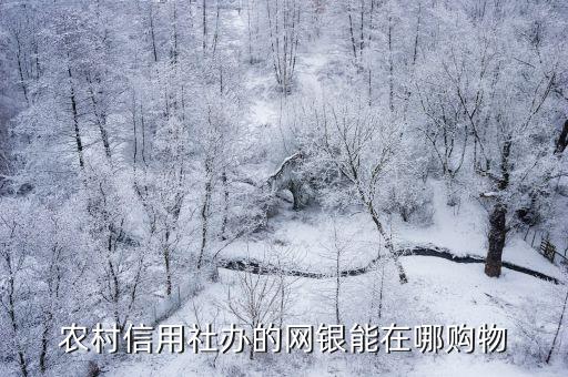 農(nóng)村信用社辦的網(wǎng)銀能在哪購(gòu)物