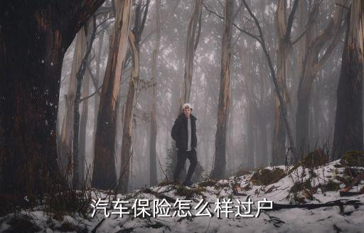 汽車保險(xiǎn)怎么樣過戶
