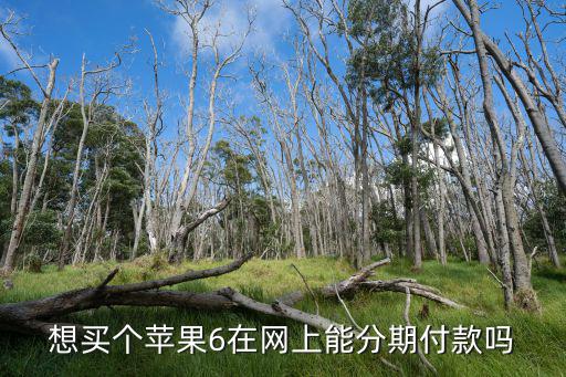 蘋(píng)果六分期付款怎么辦理，想買(mǎi)個(gè)蘋(píng)果6在網(wǎng)上能分期付款嗎