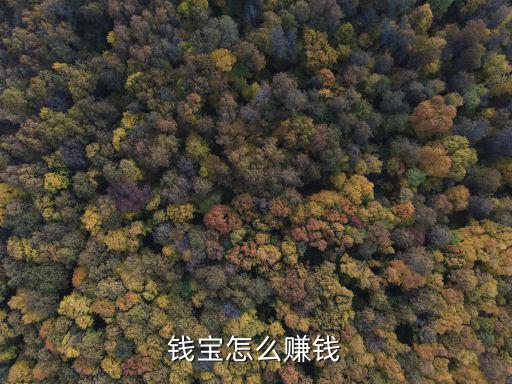 錢寶怎么盈利的，錢寶網(wǎng)怎么賺錢