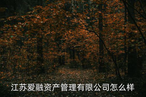 江蘇愛融資產管理有限公司怎么樣