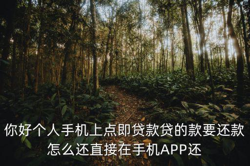 金燕快貸怎么還款，你好個人手機上點即貸款貸的款要還款怎么還直接在手機APP還