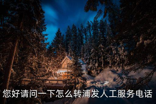 您好請問一下怎么轉(zhuǎn)浦發(fā)人工服務(wù)電話