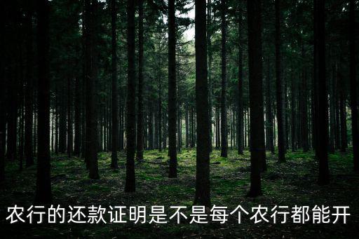 農(nóng)行的還款證明是不是每個(gè)農(nóng)行都能開