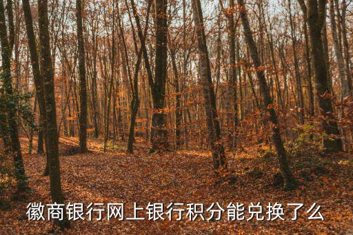 徽商銀行網(wǎng)上銀行積分能兌換了么