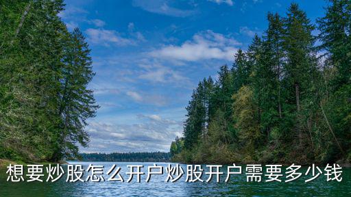 想要炒股怎么開戶炒股開戶需要多少錢