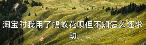 淘寶時(shí)我用了螞蟻花唄但不知怎么還求助