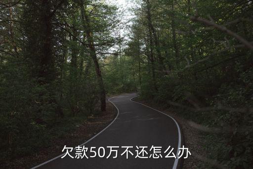 欠50萬(wàn)錢不還怎么辦，我朋友借了我50萬(wàn)可就是不還我該怎么辦