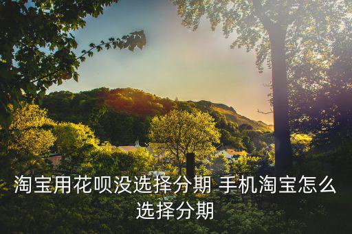 手機(jī)淘寶怎么選擇分期付款，淘寶用花唄沒(méi)選擇分期 手機(jī)淘寶怎么選擇分期