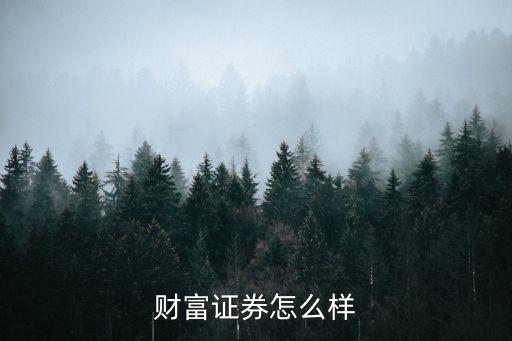 財(cái)富證券怎么樣