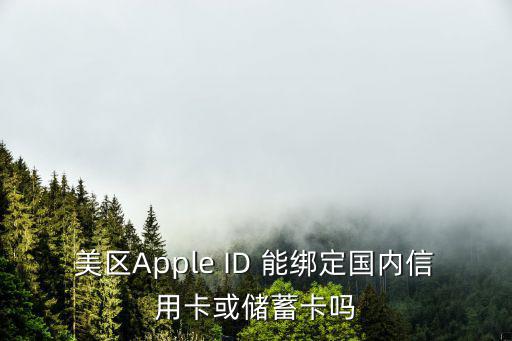 美區(qū)Apple ID 能綁定國內(nèi)信用卡或儲蓄卡嗎