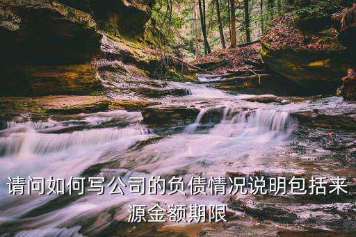 請問如何寫公司的負債情況說明包括來源金額期限