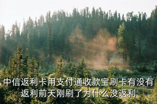中信返利卡用支付通收款寶刷卡有沒(méi)有返利前天剛刷了為什么沒(méi)返利