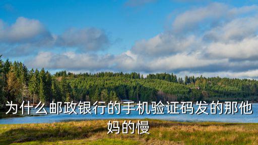 為什么郵政銀行的手機(jī)驗(yàn)證碼發(fā)的那他媽的慢