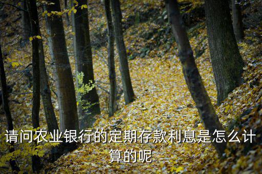 農(nóng)行的存折利息怎么算的，請(qǐng)問農(nóng)業(yè)銀行的定期存款利息是怎么計(jì)算的呢