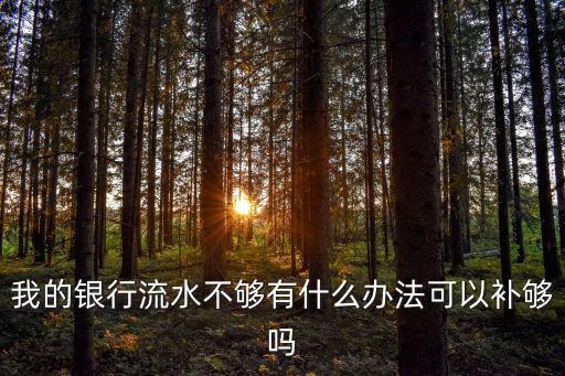 我的銀行流水不夠有什么辦法可以補夠嗎