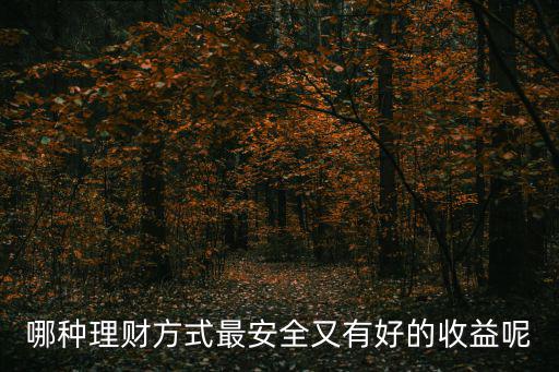 哪種理財(cái)方式最安全又有好的收益呢
