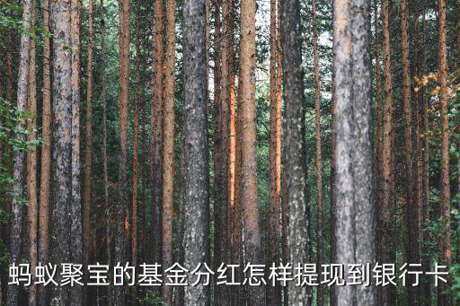 螞蟻聚寶的基金分紅怎樣提現(xiàn)到銀行卡