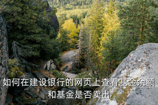 如何在建設(shè)銀行的網(wǎng)頁上查看基金余額和基金是否賣出