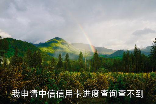 中信信用卡怎么查不了，你好我辦了中信信用卡服務(wù)密碼忘了現(xiàn)在改了幾次顯示失敗