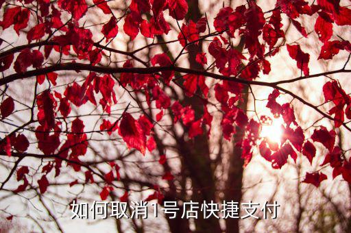 1號店快捷支付怎么取消嗎，如何取消1號店快捷支付