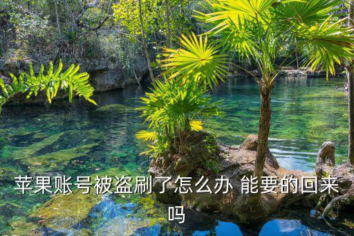 蘋(píng)果賬號(hào)被盜刷了怎么辦 能要的回來(lái)嗎