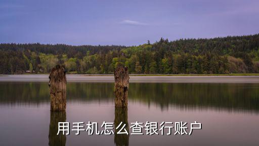 用手機怎么查附近銀行，有沒有哪款手機軟件可以查看附近的銀行網(wǎng)點信息的