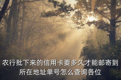 農(nóng)行批下來的信用卡要多久才能郵寄到所在地址單號(hào)怎么查詢各位