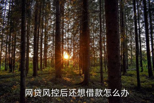 網(wǎng)貸風(fēng)控后還想借款怎么辦