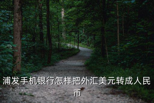 浦發(fā)手機(jī)銀行美元怎么辦，浦發(fā)手機(jī)銀行怎樣把外匯美元轉(zhuǎn)成人民幣