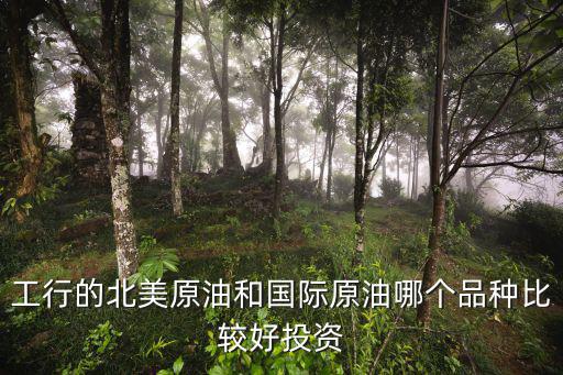 工行的北美原油和國(guó)際原油哪個(gè)品種比較好投資