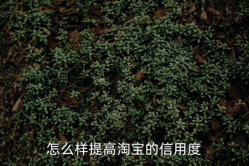 怎么樣提高淘寶的信用度