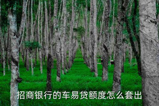 招行的汽車分期額度怎么刷出來，招商銀行信用卡汽車分期額度怎么辦理