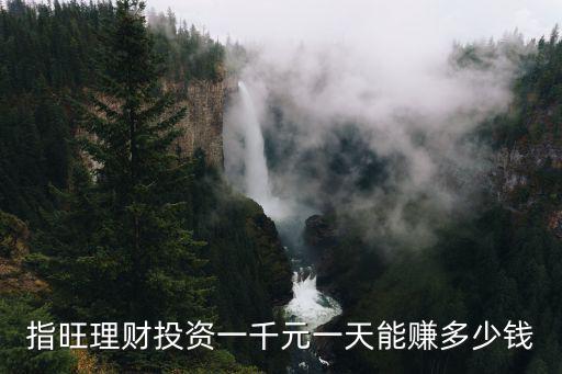 指旺理財投資一千元一天能賺多少錢