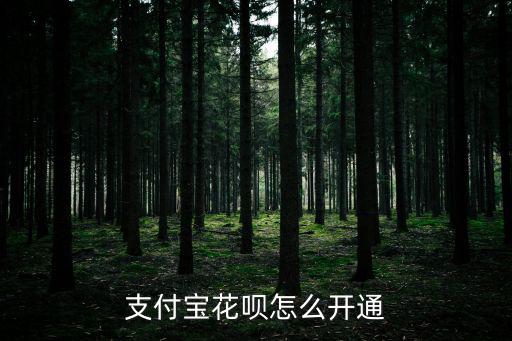 怎么樣才能開(kāi)通花唄，支付寶花唄怎么開(kāi)通