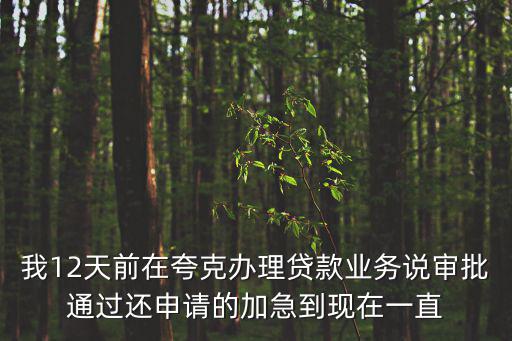 我12天前在夸克辦理貸款業(yè)務說審批通過還申請的加急到現(xiàn)在一直