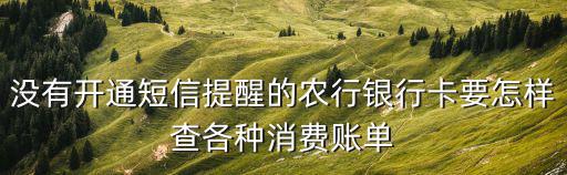 沒有開通短信提醒的農行銀行卡要怎樣查各種消費賬單