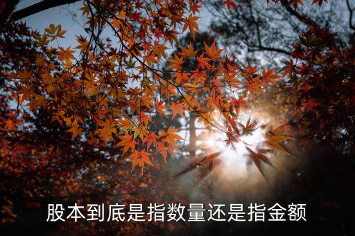 股本的金額怎么算，股本數(shù)額怎么算